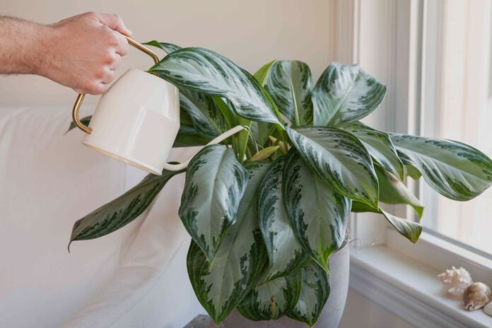 558259c9-2eb7-434f-91d3-f8dd9fcd557b