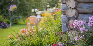 Comment enlever l’herbe des parterres de fleurs sans tuer vos plantes