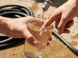 Stop Using Hot Tap Water on Your Garden: The Real Damage to Roots