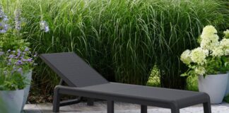 Por qué las grandes tiendas acaban de superar a los mercados en línea de artículos de jardinería